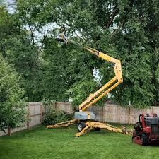 Trusted Allentown, NJ Tree Removal and Landscaping Services Experts